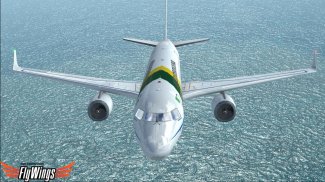 Weather Flight Sim Viewer screenshot 9