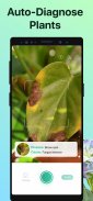 PictureThis - 꽃 & 식물 찾기 screenshot 5