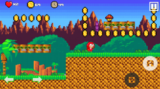 Classic Echidna screenshot 5