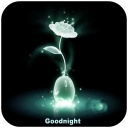 Good Night Gif Images Icon