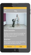 Dog and Puppy Training! exercises and tricks screenshot 7