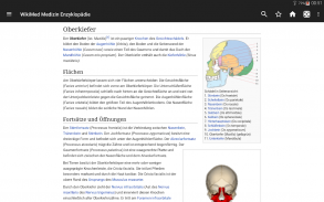Wikipedia Medizin (Offline) screenshot 0