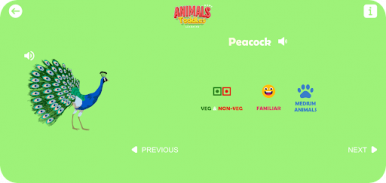 Animals Name Learning Toddles screenshot 15