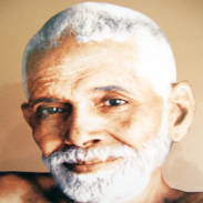 Ramana Maharshi Audio book (NO ADS!!!) screenshot 2