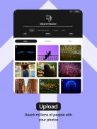 Pexels: HD+ videos & photos screenshot 0