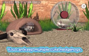 My Hedgehog screenshot 4