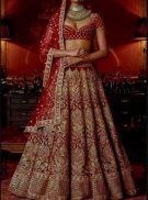 Wedding Dresses Designs - Ideas 2018-2019 screenshot 6