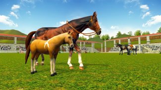 Stars Horse Racing Horse Games screenshot 3