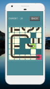 Slide And Roll - Brain Puzzle screenshot 2