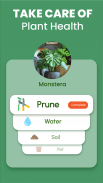 Florify: AI Plant Identifier screenshot 2