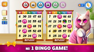 Pet Bingo: Bingo Game 2024 screenshot 0