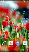 Soap Bubbles Live Wallpaper screenshot 1