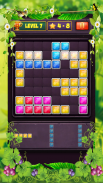 Block Puzzle Level screenshot 15