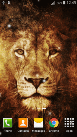 Lion Live Wallpaper 1 1 Download Apk For Android Aptoide