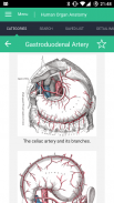 Human Organs Anatomy Reference Guide screenshot 5