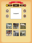 Horse Coat Colors Quiz screenshot 17