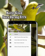 Suara Burung Sirtu Pikat MP3 screenshot 0