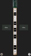 Tin Whistle screenshot 2