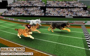 Dog Racing arcade - dog games screenshot 6