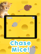 Games for Cats! - Cat Fishing Mouse Chase Cat Game screenshot 1