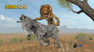 Lion Chase screenshot 0