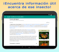 InsectID – Identifica Insectos screenshot 1