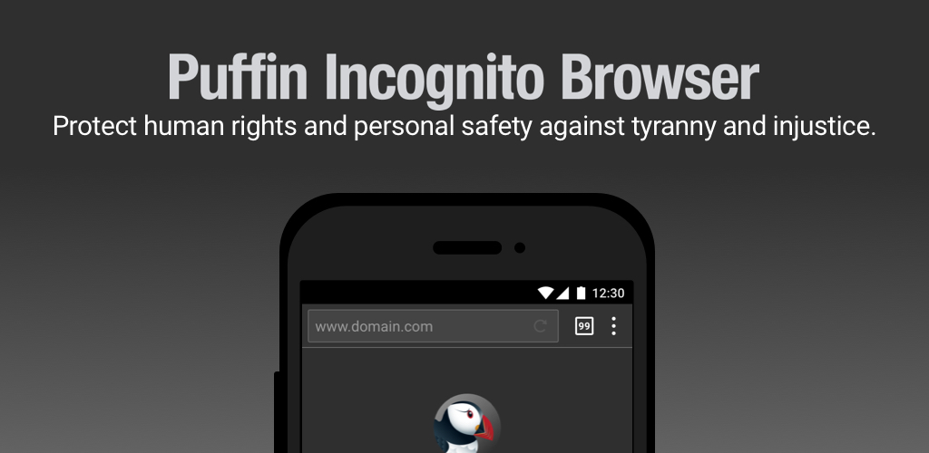 Взломанный browser. Puffin Incognito browser. Puffin Incognito.