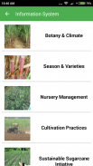 Sugarcane Expert System screenshot 2