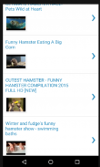 Funny Hamster Videos screenshot 0