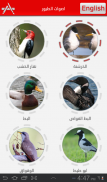 اصوات الطيور - Birds Sounds screenshot 5