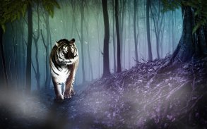 Tigers - HD Wallpapers screenshot 2