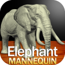 Elephant Mannequin