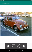 Volkswagen Beetle screenshot 14