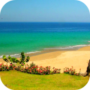 Sandy Beach Video Wallpaper Icon