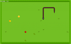 Hungry Snake screenshot 0