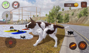 Greman Shorthaired Pointer screenshot 2