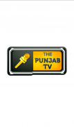 The Punjab TV screenshot 0