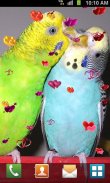Love Birds Live Wallpaper screenshot 5