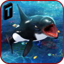 Killer Whale Beach Attack 3D Icon