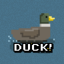 Duck! Duck! Duck!