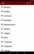 Offline Bible app with audio screenshot 16