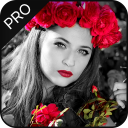 Color Pop : Color Splash Effect Photo Editor