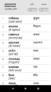 সাথে রাশিয়ান শব্দ শিখুন Smart-Teacher screenshot 16