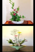 ikebana flower arrangements screenshot 4