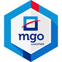 Grupo MGO Campus Online