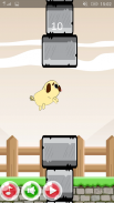 Flappy Pug screenshot 5