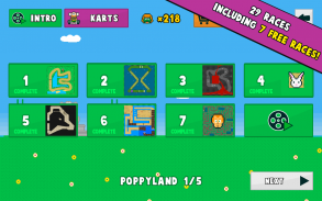 Poppy Kart screenshot 4