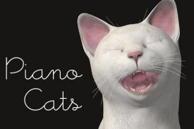 Piano Cats Free screenshot 0