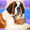 Saint Bernard Pet Care - Dog G