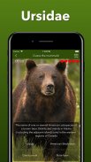 Animals Quiz - Learn All Mammals, Birds and more! screenshot 2